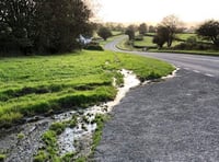 'Hosepipe ban follows disgraceful amount of water leaks'