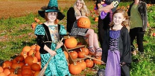 Halloween theme to festive craft market