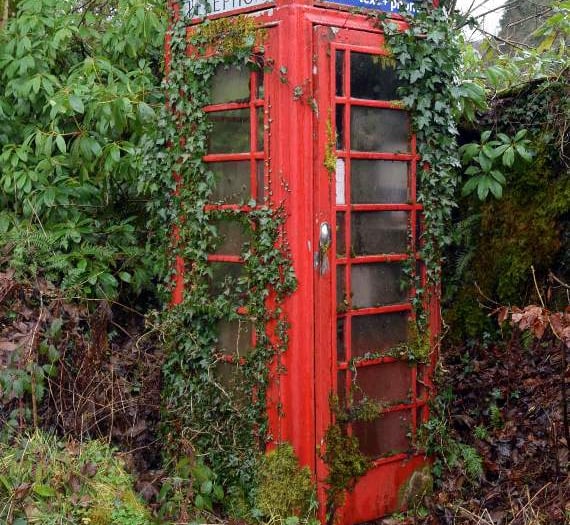 Phone box to greenhouse…