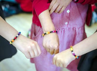 Children’s wellbeing festival deemed a delight