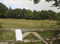 Gypsy site wins planning appeal 