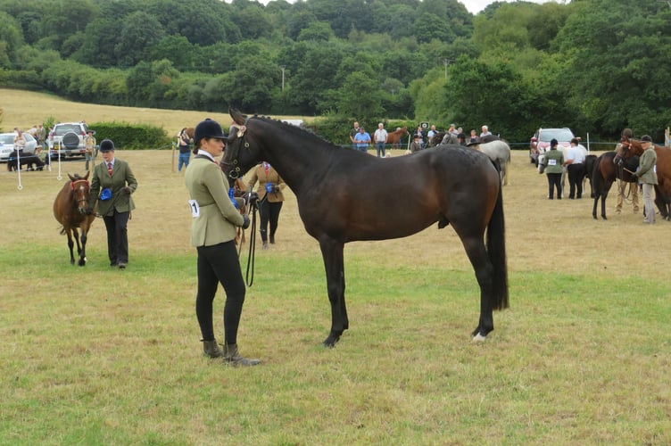 Chagford Show