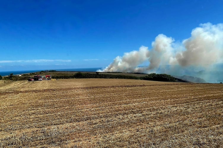 Firefighters from Buckfastleigh helped fight fire at Kingswear