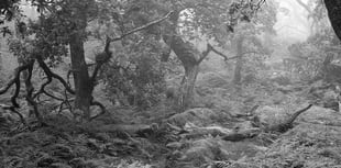 Close-up on rivers and paths of the moors