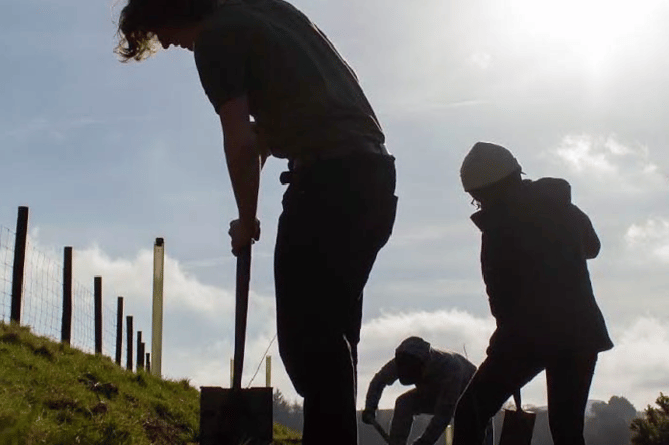 Climate Emergency Bovey and Heathfield