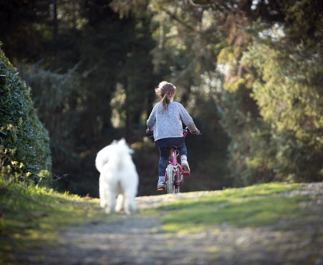 Should bikes be allowed in parks?