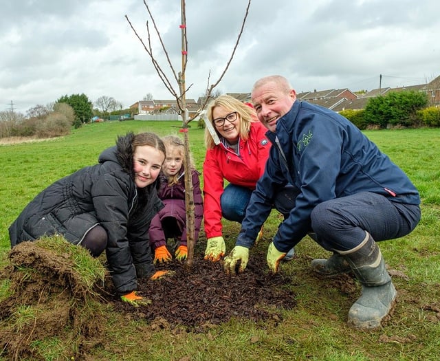 Green fund can make your community project grow