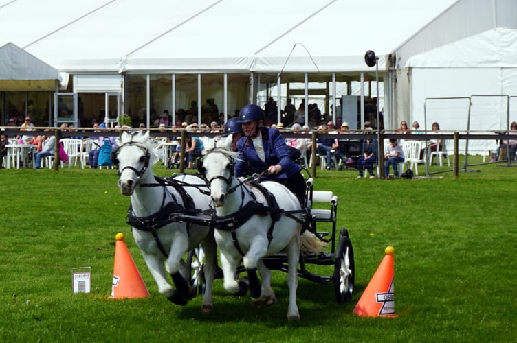                              Devon County Show 2023