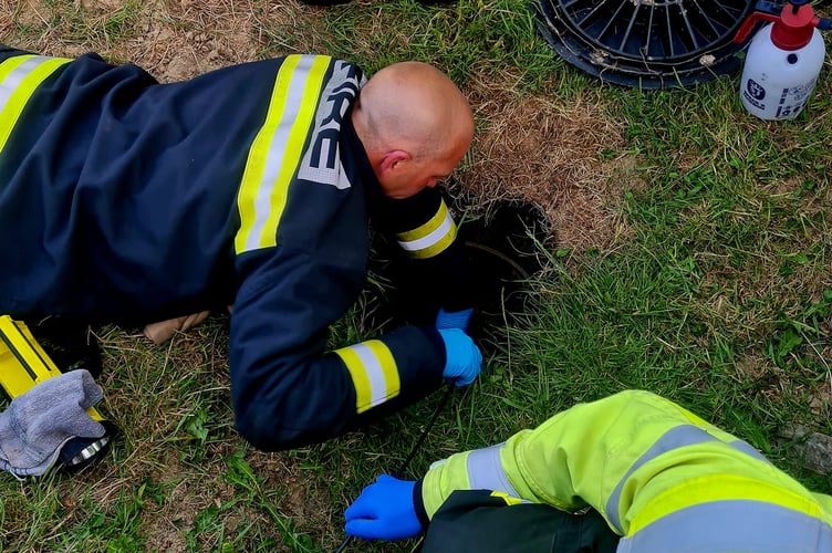 Firefighters from Buckfastleigh and Newton Abbot work together to rescue Spike the Jack Russell dog who was trapped down a sewer pipe.
Picture: Buckfastleigh Fire Station (8-6-23)