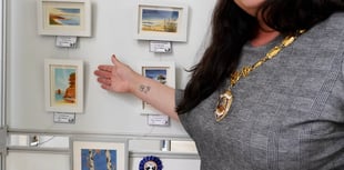 Art work on show in summer exhibition 