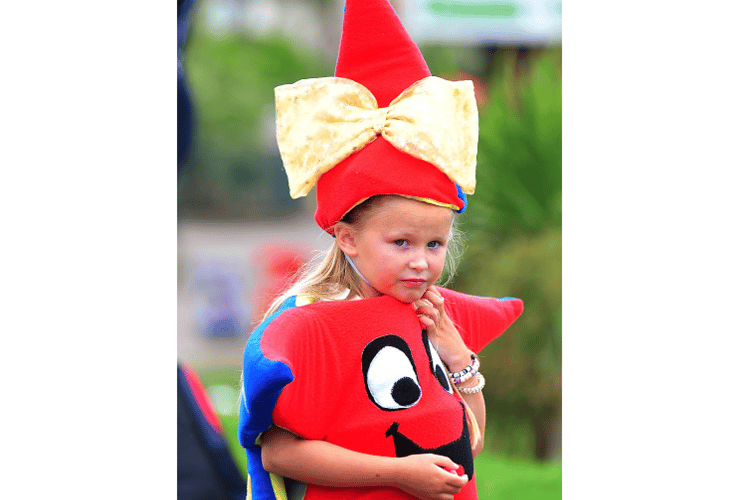 Teignmouth Carnival 