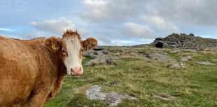 Independent Review calls for radical change on Dartmoor