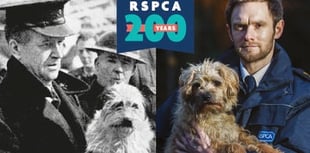 RSPCA rehomes 7,000 Devon animals in 10 years 