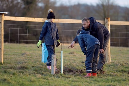 Author backs project bringing city children into nature and farming
