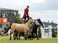 Atkinson Action Horses to put in performances at county show 