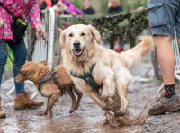 Muddy Mutts raise more than £5000 for animal charity