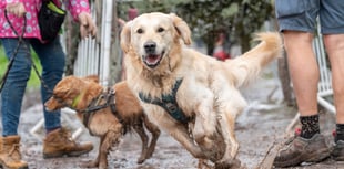 Muddy Mutts raise more than £5000 for animal charity