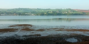 New bacteria ‘threat’ detected in River Teign