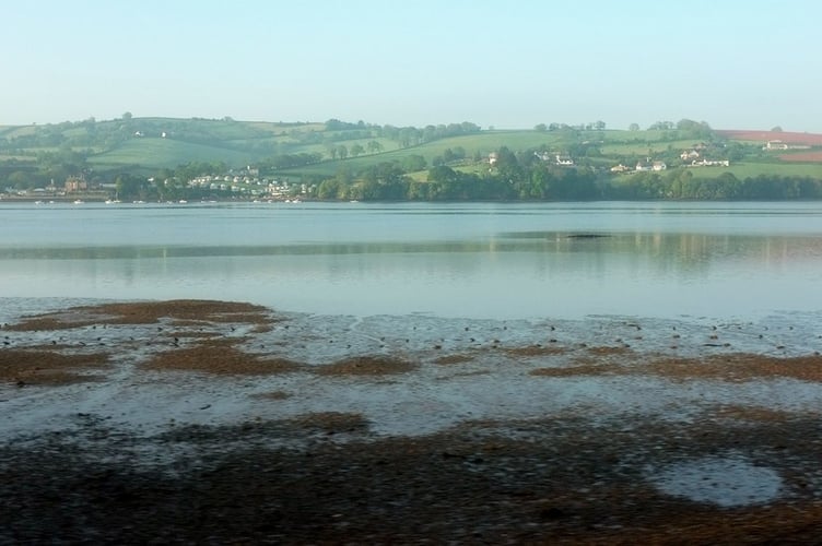 River Teign 