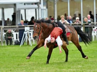 Ultimate horsepower at Devon County Show