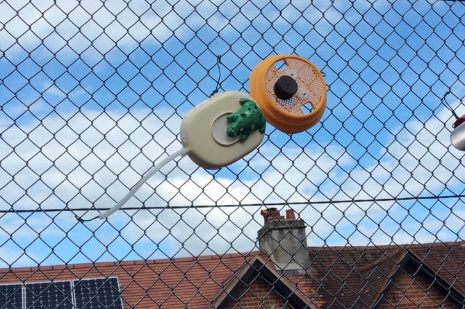 Christow School's fence now decorated with artwork 