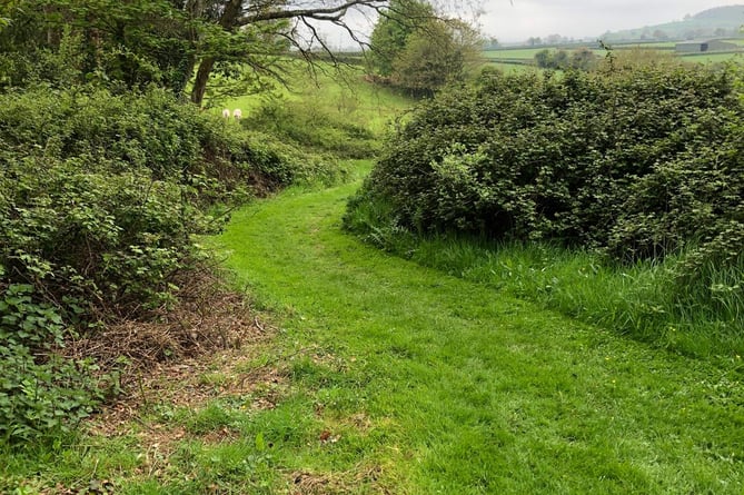 Rectory Field, Ogwell 