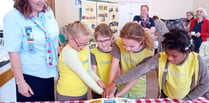 Brownies celebrate 100 years 