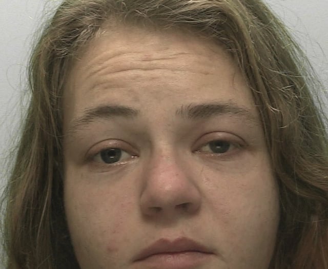 Homeless woman jailed for stabbing man in head 