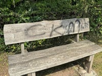 Vandals deface council bench 