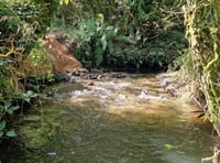 Fish barriers removed marking World Rivers Day 