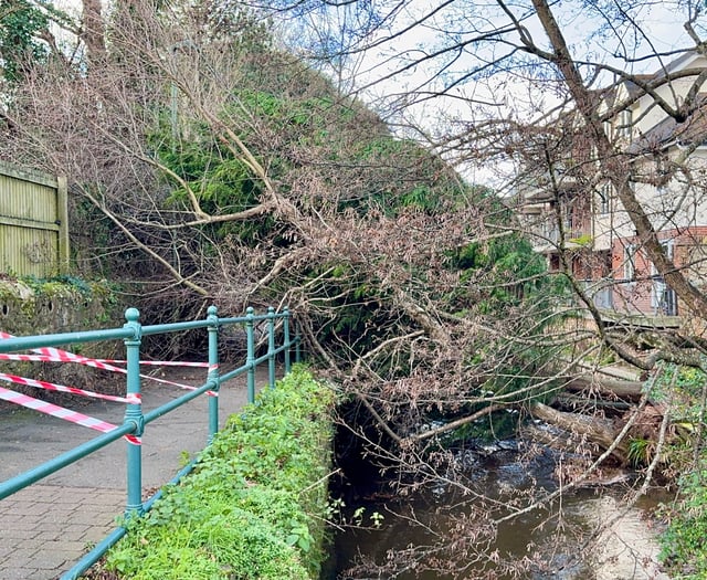 Storm Darragh affects south Devon 