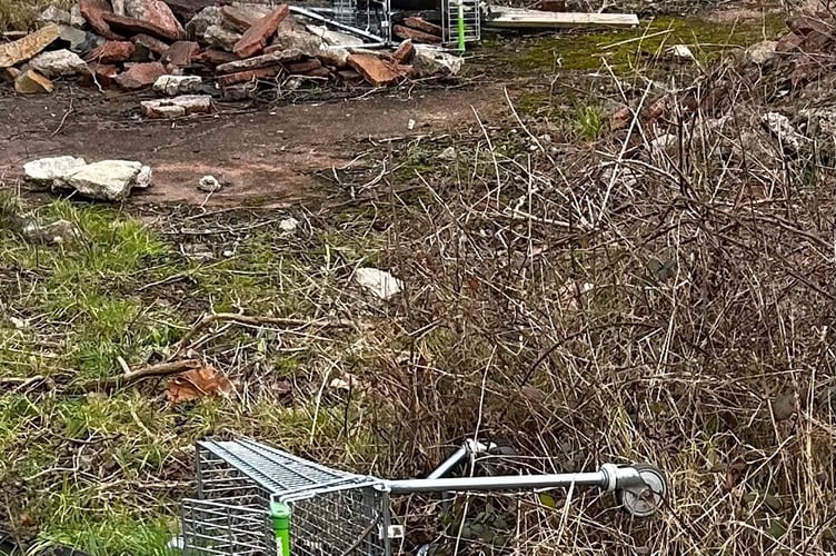 Some of the trolleys left abandoned in Newton Abbot. Photo Nigel Canham 