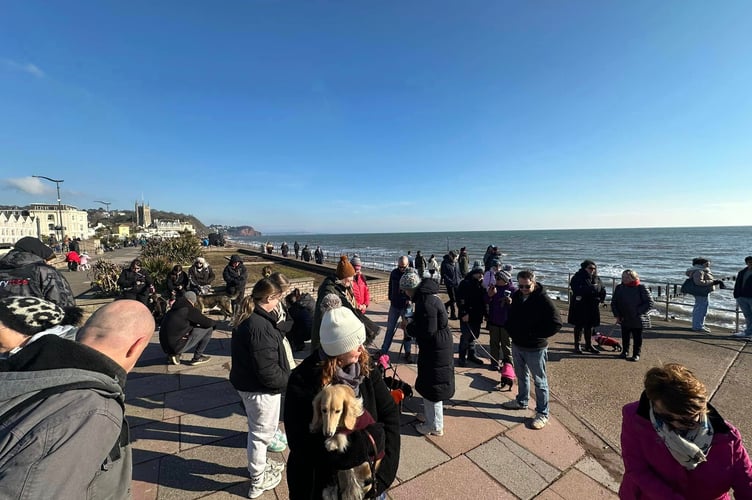 Devon Dachshunds in Teignmouth. Photo Jon Davies 